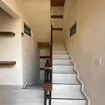 Bambú